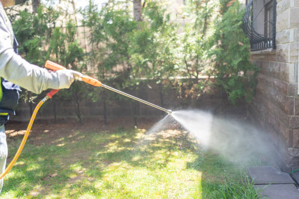 Best Mosquito Control  in Hot Springs Village, AR